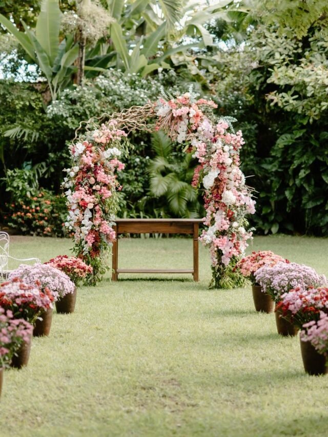 cropped 0 13 118129 165577666378783